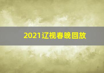 2021辽视春晚回放