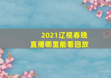 2021辽视春晚直播哪里能看回放