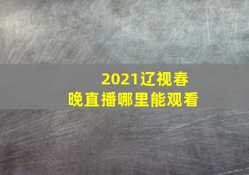 2021辽视春晚直播哪里能观看