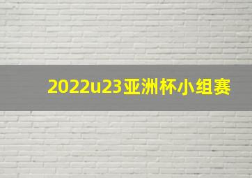 2022u23亚洲杯小组赛