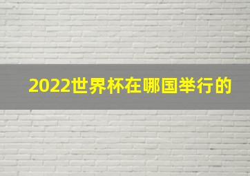 2022世界杯在哪国举行的