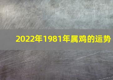 2022年1981年属鸡的运势