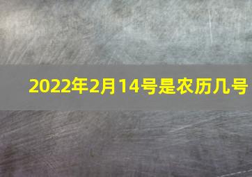 2022年2月14号是农历几号