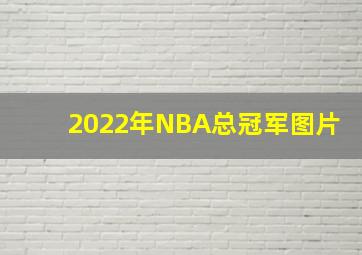 2022年NBA总冠军图片