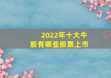 2022年十大牛股有哪些股票上市