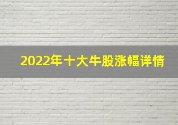 2022年十大牛股涨幅详情