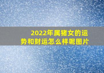 2022年属猪女的运势和财运怎么样呢图片