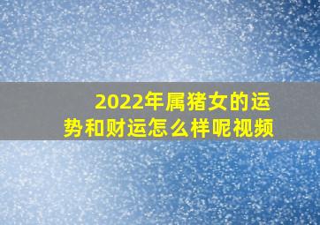 2022年属猪女的运势和财运怎么样呢视频