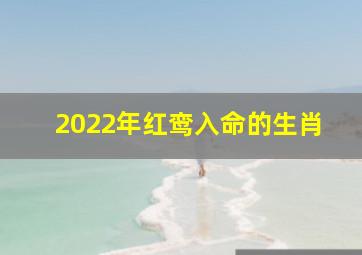 2022年红鸾入命的生肖