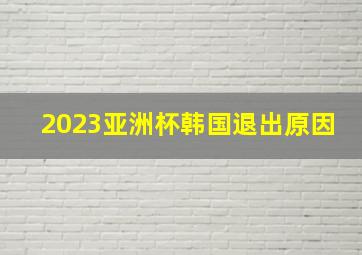 2023亚洲杯韩国退出原因