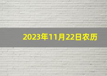 2023年11月22日农历