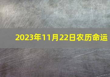 2023年11月22日农历命运