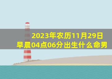 2023年农历11月29日早晨04点06分出生什么命男