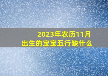 2023年农历11月出生的宝宝五行缺什么