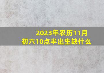 2023年农历11月初六10点半出生缺什么