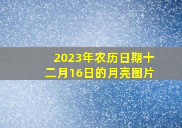 2023年农历日期十二月16日的月亮图片