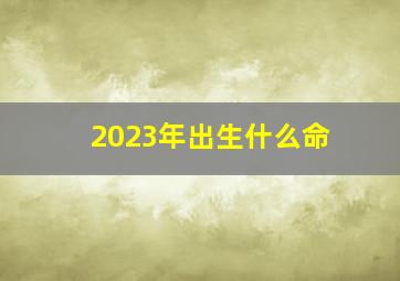 2023年出生什么命