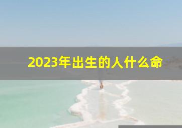 2023年出生的人什么命