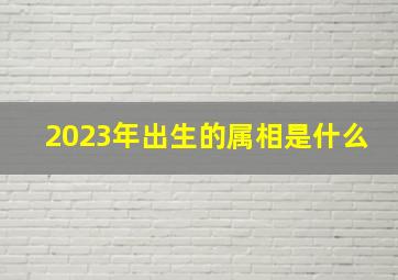 2023年出生的属相是什么