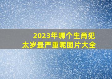 2023年哪个生肖犯太岁最严重呢图片大全