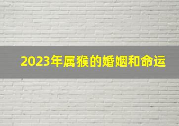 2023年属猴的婚姻和命运