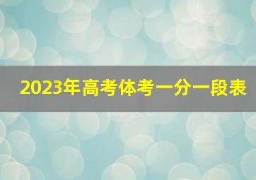 2023年高考体考一分一段表