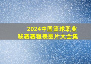 2024中国篮球职业联赛赛程表图片大全集