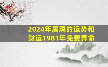 2024年属鸡的运势和财运1981年免费算命