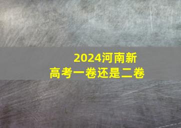 2024河南新高考一卷还是二卷