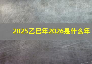 2025乙巳年2026是什么年