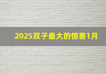 2025双子最大的惊喜1月