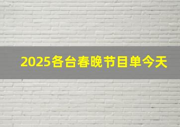 2025各台春晚节目单今天