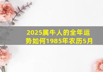 2025属牛人的全年运势如何1985年农历5月