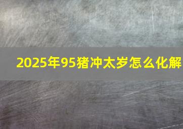 2025年95猪冲太岁怎么化解