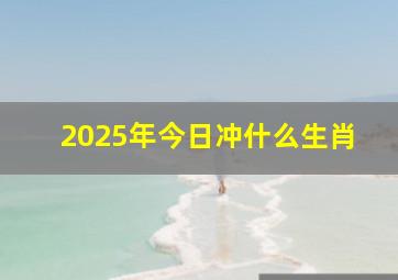 2025年今日冲什么生肖