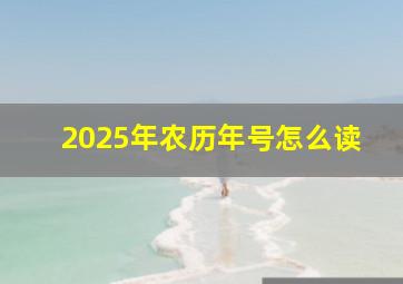 2025年农历年号怎么读