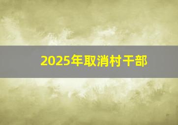 2025年取消村干部