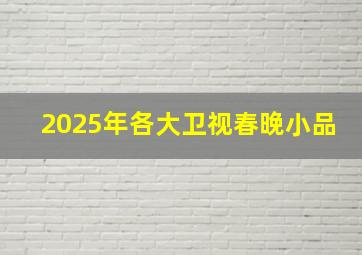 2025年各大卫视春晚小品