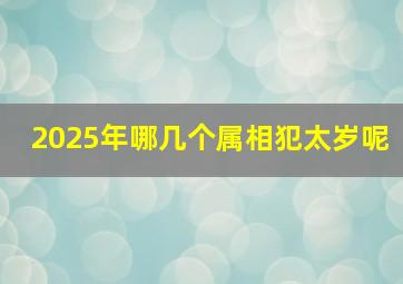 2025年哪几个属相犯太岁呢