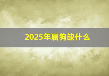 2025年属狗缺什么