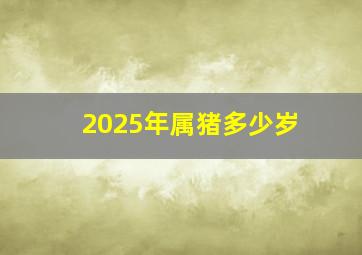 2025年属猪多少岁