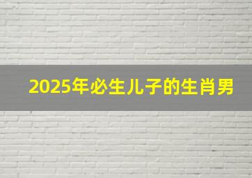 2025年必生儿子的生肖男