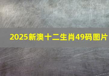 2025新澳十二生肖49码图片