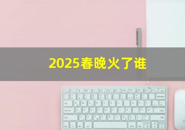 2025春晚火了谁