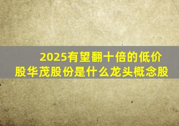 2025有望翻十倍的低价股华茂股份是什么龙头概念股