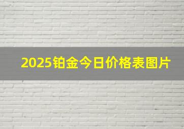 2025铂金今日价格表图片