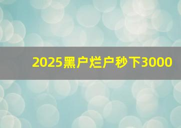 2025黑户烂户秒下3000