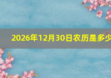 2026年12月30日农历是多少