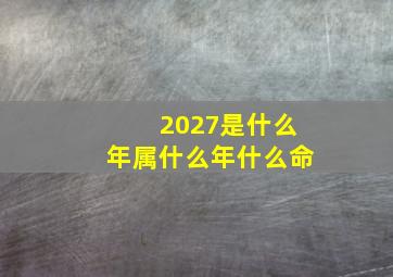 2027是什么年属什么年什么命