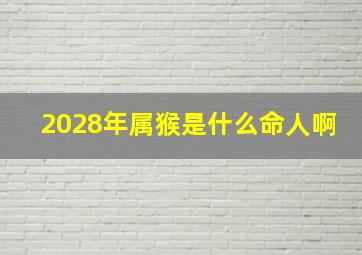 2028年属猴是什么命人啊